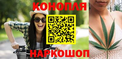 бошки Будённовск