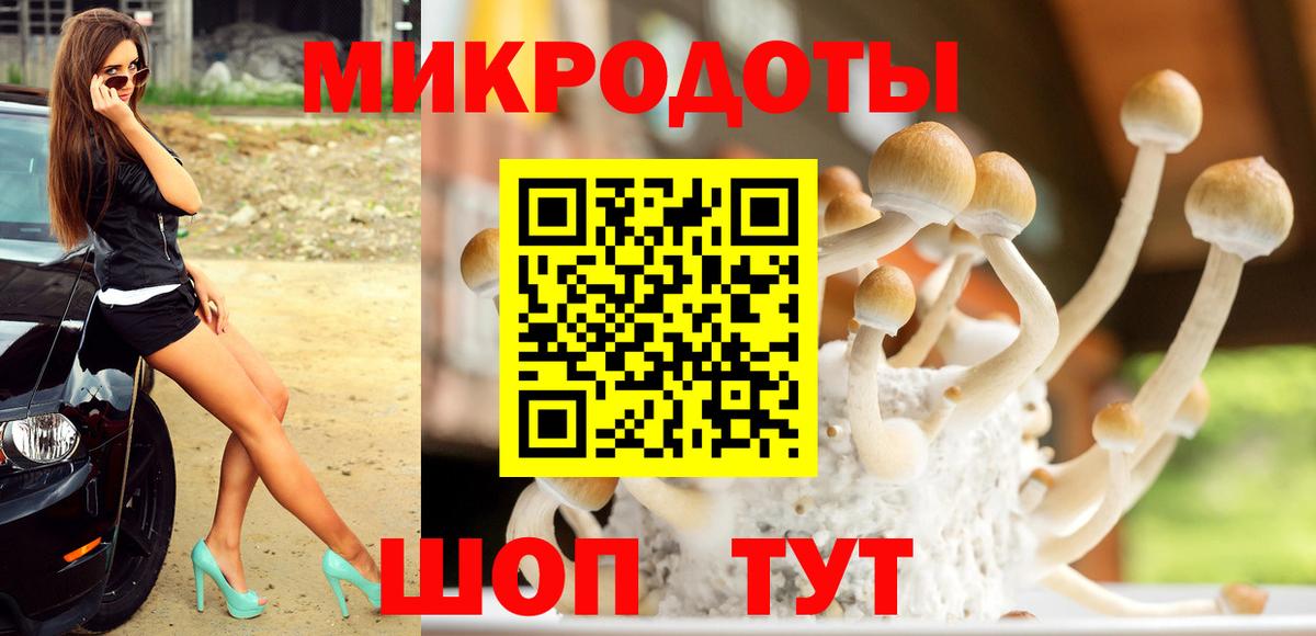 Псилоцибиновые грибы ЛСД  Вход с VPN  Буйнакск 