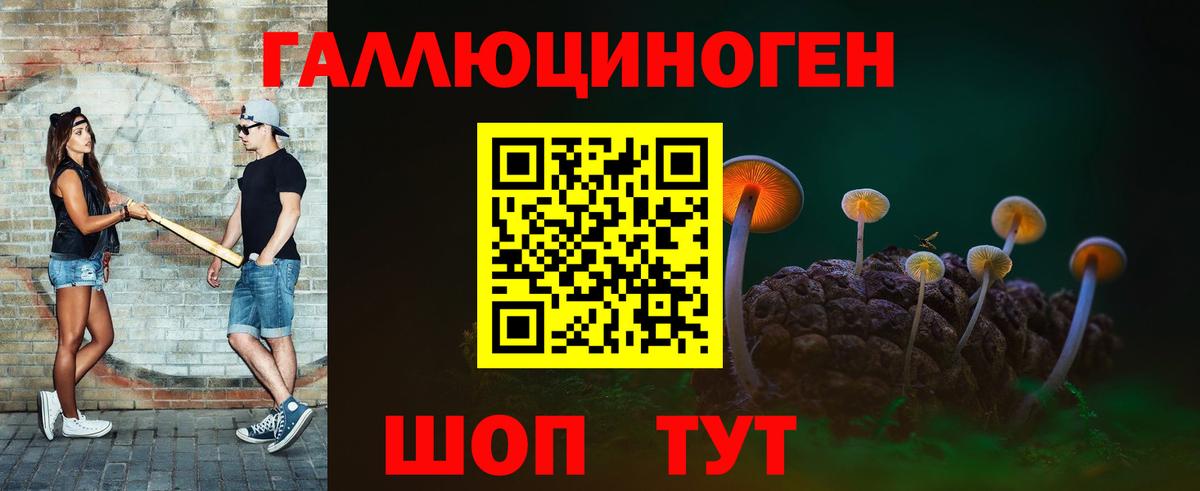 Псилоцибиновые грибы мицелий Буйнакск